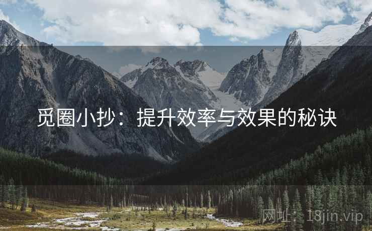 觅圈小抄：提升效率与效果的秘诀